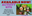 Activity Kits cropped.png